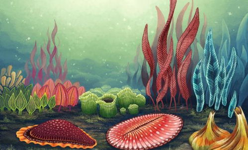 古氧濃度與單細(xì)胞生物體型的關(guān)系及其在現(xiàn)代醫(yī)藥技術(shù)中的啟示